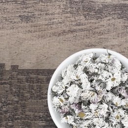 Wie findest du eine gute Heilpraktikerin?