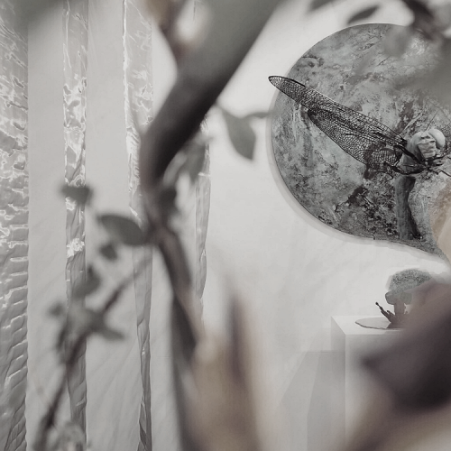 Dojo - Übergang in den Herbst