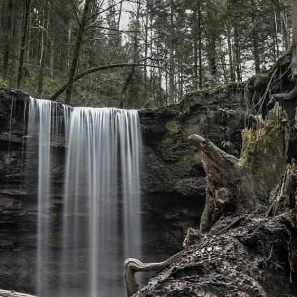 Die Kräfte des Erde-Typen