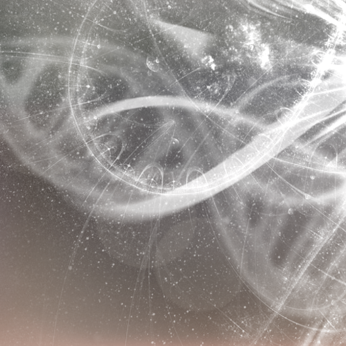 Das Jing - Quelle deiner Konstitution