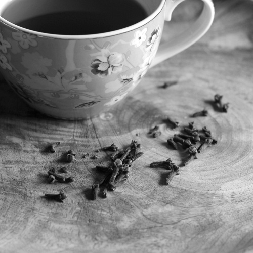 Lebensräume - Milieu und Abwehr