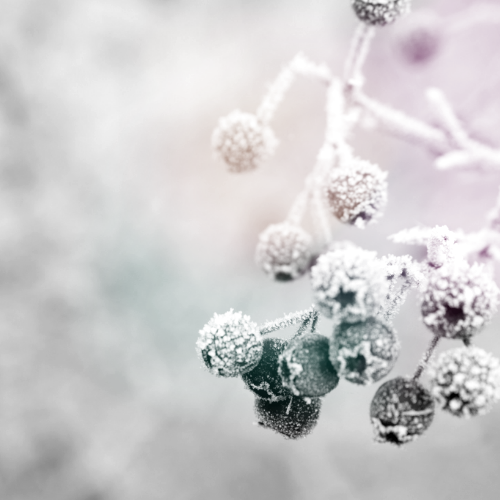 Der Winter - Zeit nach innen zu gehen