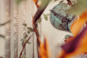 Dojo - Übergang in den Herbst Dojo - Übergang in den Herbst